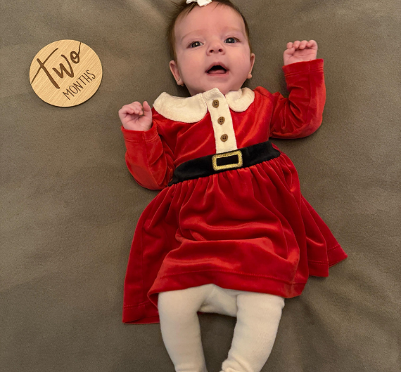 siding small dog roofing NH/USA